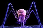Prevenzione della malaria: nuove scoperte contro il Plasmodium