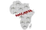 Prevenzione della malaria: ecco alcuni consigli utili