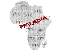 Prevenzione della malaria: ecco alcuni consigli utili